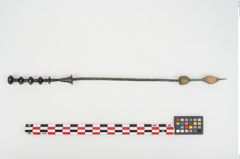 Foto von Bronzemehrkopfnadel (NHMW-PRAE-025589)